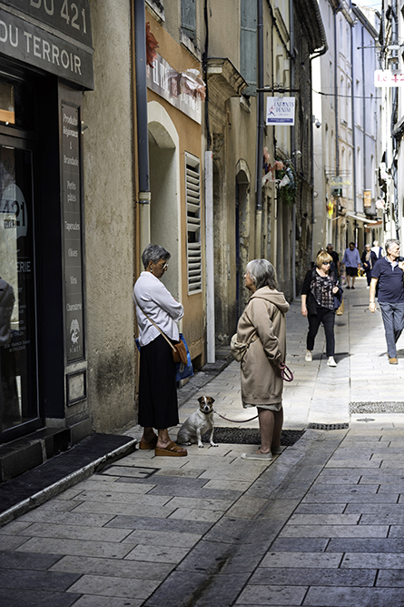 Caption 3 - Nîmes