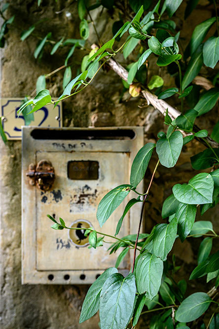 Caption 7