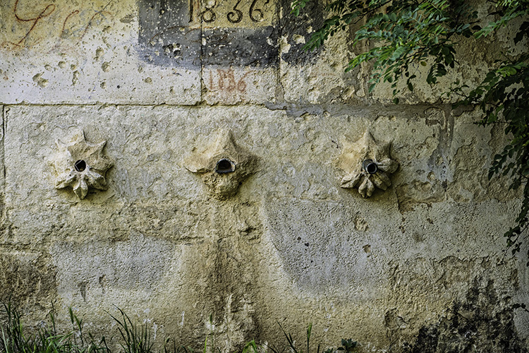Vaugines
