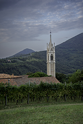 DSC_7911-700-Monselice
